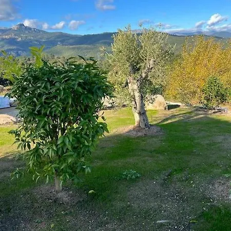 Muvra D'oru ! Vue & Piscine Sari-Solenzara